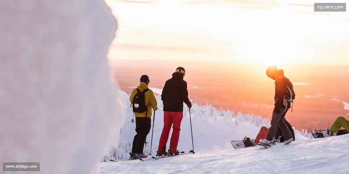 行业领先的理由